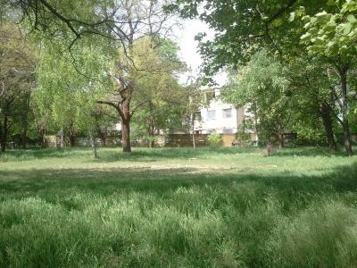 Прикрепленное изображение: шевч2.jpg